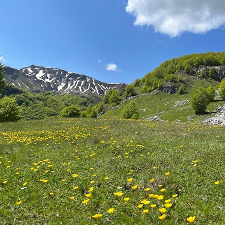 Guesthouse Alpini Lepushe Dış mekan fotoğraf