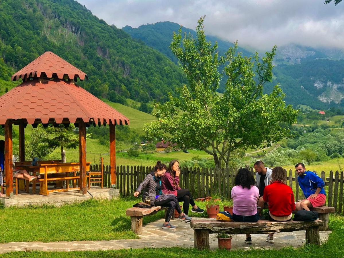 Guesthouse Alpini Lepushe Dış mekan fotoğraf