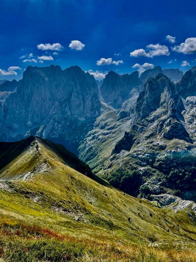 Guesthouse Alpini Lepushe Dış mekan fotoğraf
