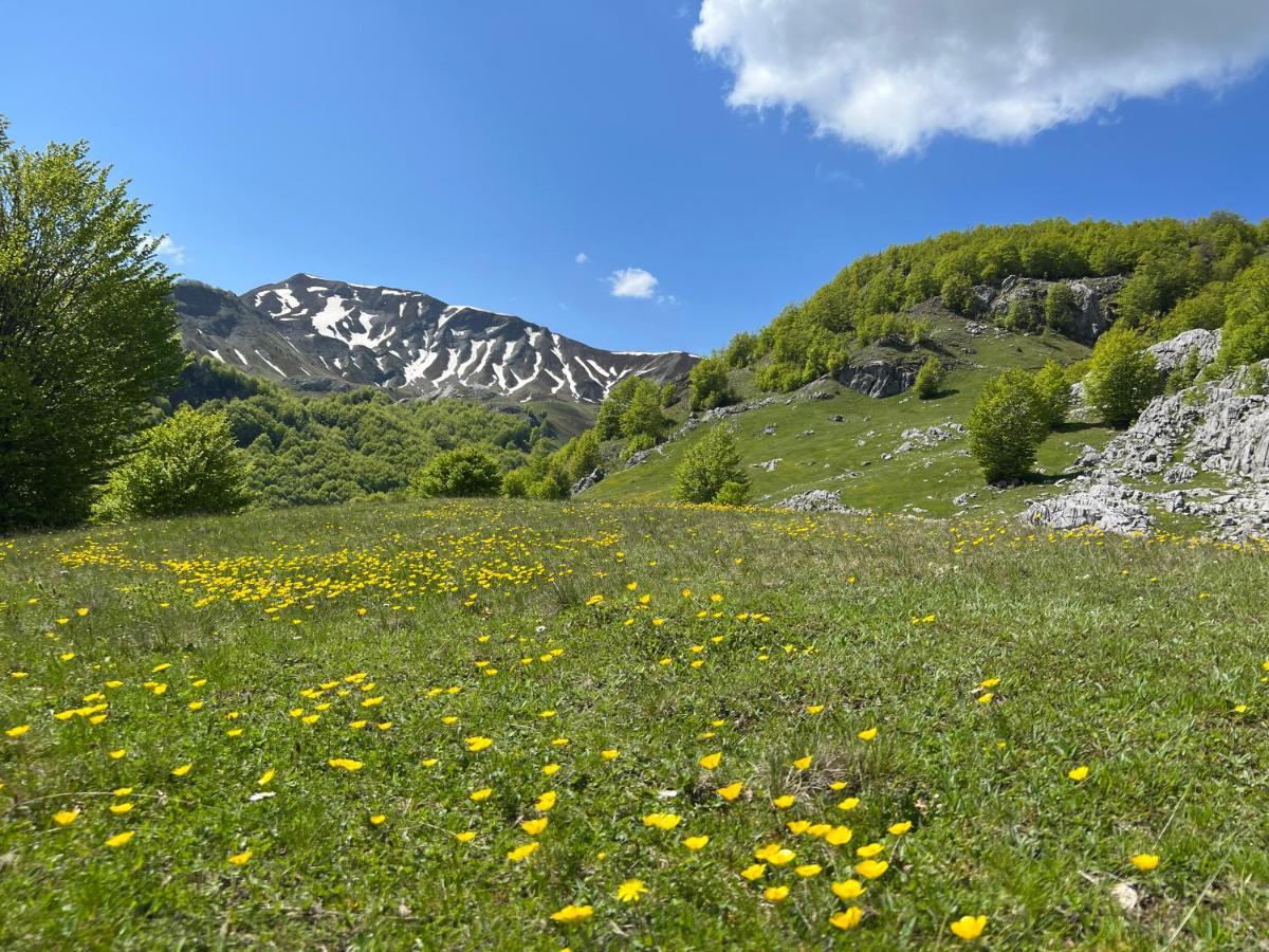 Guesthouse Alpini Lepushe Dış mekan fotoğraf