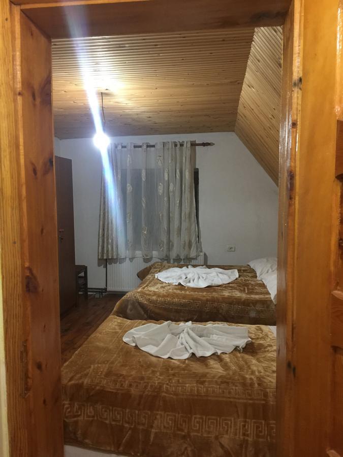 Guesthouse Alpini Lepushe Dış mekan fotoğraf